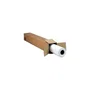 HP Q6575A Papel Fotográfico Brillante de Secado Instantáneo, Rollo 914 mm x 30,5 m