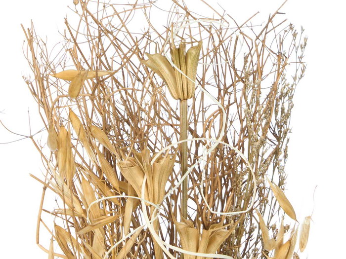 Giftdecor Florero Bola Surtidos Col 10.5x37x10.5cm (Set de 12)