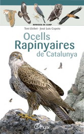 Ocells rapinyaires de Catalunya, Toni Llobet; José Luis Copete - COSSETANIA EDICIONS