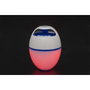 Bestway Altavoz Bluetooth con Luz LED Flotante para Piscina y Jardín
