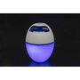 Bestway Altavoz Bluetooth con Luz LED Flotante para Piscina y Jardín