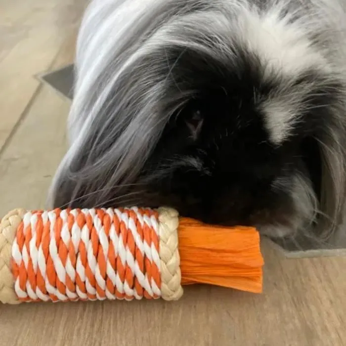 Tyrol TYR3281012067466 Accesorio para roedores Bolsas de hojas de maíz x2 17 x 5,6 x 5,6 cm