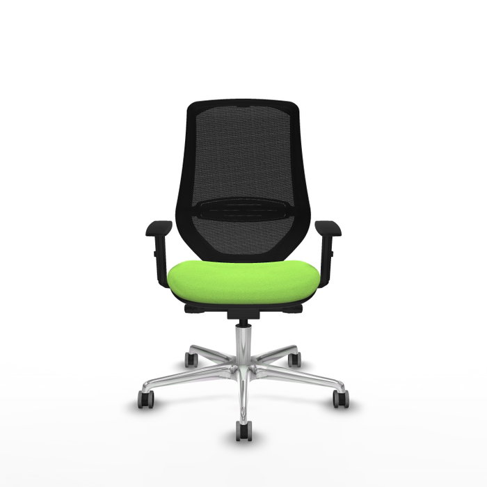 PIQUERAS Y CRESPO Silla de oficina Mardos con mecanismo Sincro/Traslack, Pistacho y Negro PIQUERAS Y CRESPO Silla de oficina Mardos con mecanismo Sincro/Traslack, Pistacho y Negro