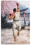 Ryu Outfit 2 Version Figura 15 cm Street Fighter Series S.H. Figuarts