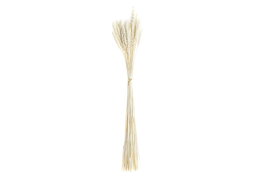 DKD Home Decor Rama de Flor Seca Espiga Beige 50u