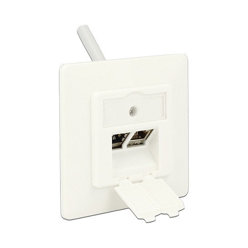 DeLOCK 86219 Keystone Anschlussdose 2 Port kompakt, Conector RJ-45 Blanco para Montaje en Rack, 80 x 80 x 25.7 mm