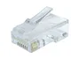 Gembird Conector RJ45 CAT6 UTP Transparente (50 unidades)