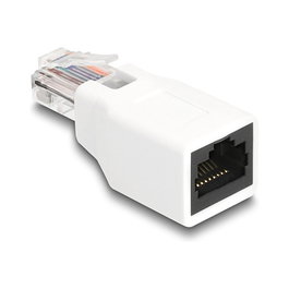 DeLOCK Adaptador RJ50 Macho a Hembra Blanco