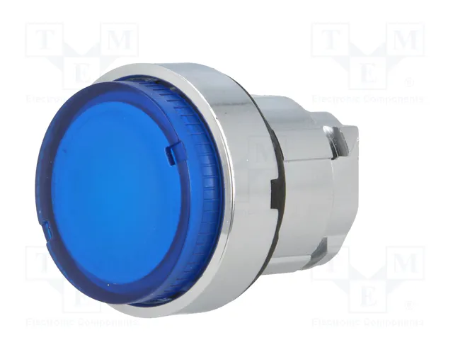 SCHNEIDER ELECTRIC Interruptor de presión azul 22mm ZB4BW16