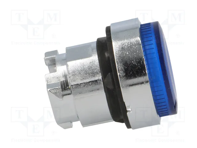 SCHNEIDER ELECTRIC Interruptor de presión azul 22mm ZB4BW16