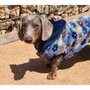 Nayeco Sudadera con Capucha Spring 25cm Azul Marino con Estampado Floral
