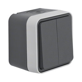 BERKER 30753505 Interruptor de botones de 2 botones, Gris