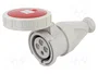 SEZ DK Conector de Alimentación AC Trifásico 32A Hembra