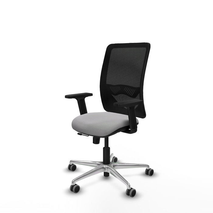 PIQUERAS Y CRESPO Silla de oficina Zulema con mecanismo Sincro/Traslack Gris claro PIQUERAS Y CRESPO Silla de oficina Zulema con mecanismo Sincro/Traslack Gris claro