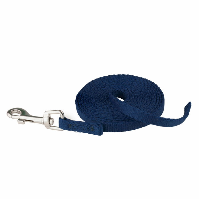 Correa para Perro Coachi Azul 2,5 m Entrenamiento Correa para Perro Coachi Azul 2,5 m Entrenamiento