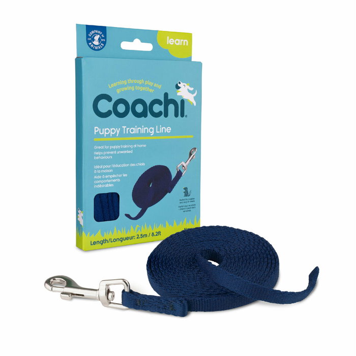 Correa para Perro Coachi Azul 2,5 m Entrenamiento Correa para Perro Coachi Azul 2,5 m Entrenamiento