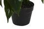 DKD Home Decor Planta Spathe Lirio Verde Blanco 40 x 75 x 40 cm (2 Unidades)
