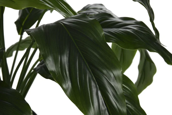 DKD Home Decor Planta Spathe Lirio Verde Blanco 40 x 75 x 40 cm (2 Unidades)