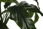DKD Home Decor Planta Spathe Lirio Verde Blanco 40 x 75 x 40 cm (2 Unidades)