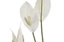 DKD Home Decor Planta Spathe Lirio Verde Blanco 40 x 75 x 40 cm (2 Unidades)