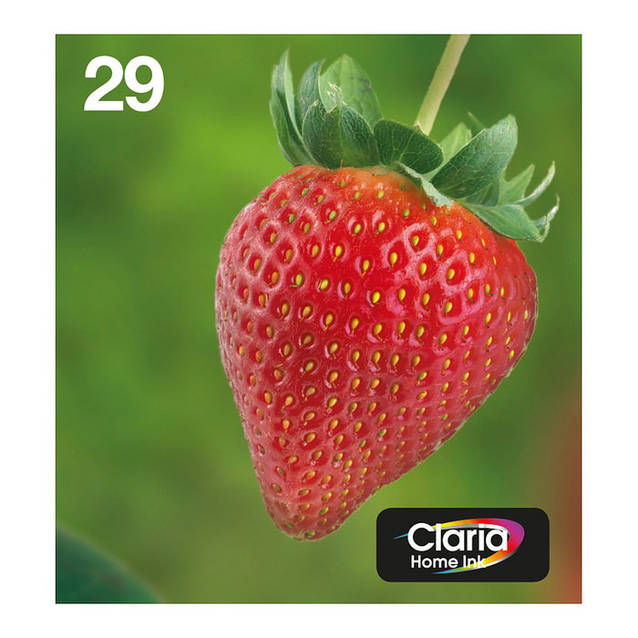 Epson Strawberry Multipack 29 EasyMail 4 Colores T2986