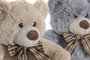 DKD Home Decor Set de 2 Peluches de Oso Beige y Gris
