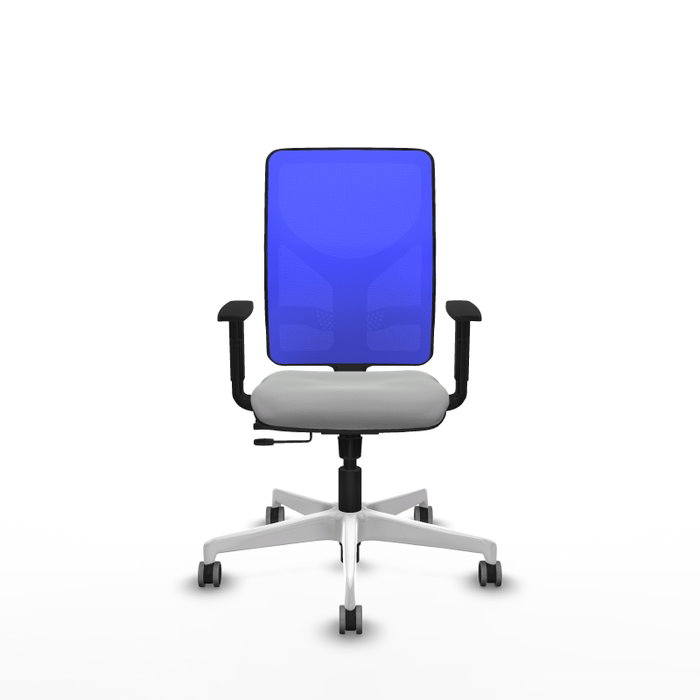 PIQUERAS Y CRESPO Silla de oficina Motilla con mecanismo Sincro/Traslack Gris claro y Azul PIQUERAS Y CRESPO Silla de oficina Motilla con mecanismo Sincro/Traslack Gris claro y Azul