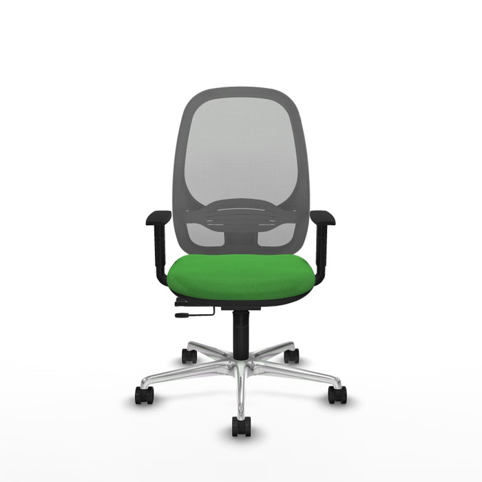 PIQUERAS Y CRESPO Silla de oficina Cilanco con mecanismo Sincro/Traslack Verde y Gris PIQUERAS Y CRESPO Silla de oficina Cilanco con mecanismo Sincro/Traslack Verde y Gris