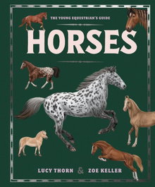 Horses, HACHETTE CHILDREN'S GROUP - HACHETTE CHILDREN'S GROUP