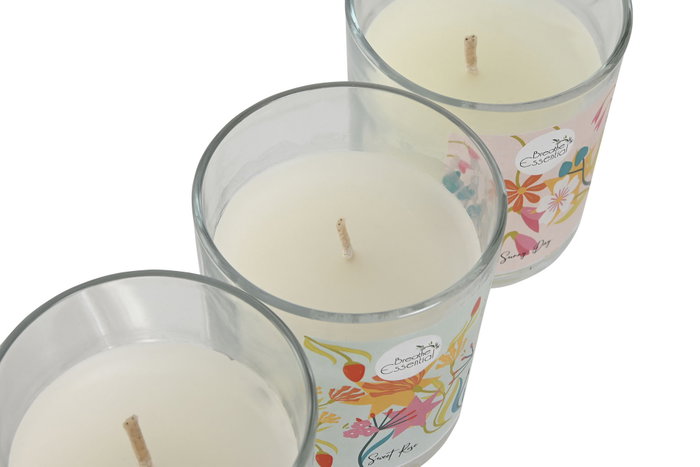 DKD Home Decor Surtido de Velas de Cera de Soja Floral, Multicolor