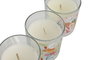 DKD Home Decor Surtido de Velas de Cera de Soja Floral, Multicolor