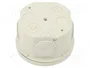 OBO BETTERMANN Caja de conexiones T 25 gris claro