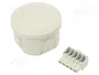 OBO BETTERMANN Caja de conexiones T 25 gris claro