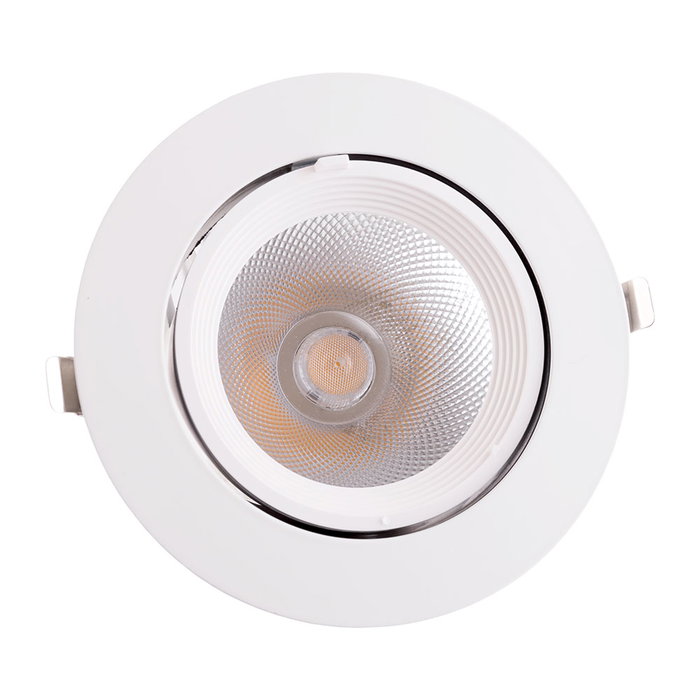 Foco Downlight LED 35W 5250Lm 4000K Circular Orientable Blanco Natural