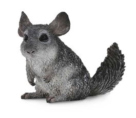 Collecta 88722 Chinchilla De Cola Larga Escala M Réplica Pintada a Mano Animales Salvajes Juguete Educativo +3 Años