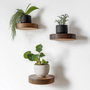 Hanah Home Raf283 Estantes de Pared Decorativos de Madera Maciza (3 Piezas)