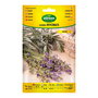 Agreen Semillas de Lavanda officinalis, Sobre con semillas vivaz para perfumería y especialidades culinarias, Referencia 301031bolsh