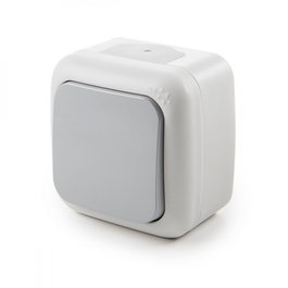 Interruptor 10A 250V IP54 Gris