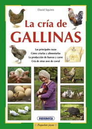 Cria de gallinas, David Squires - SUSAETA EDICIONES