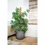 Capi Europe Maceta de bolas Groove NL Antracita 43 x 41 cm