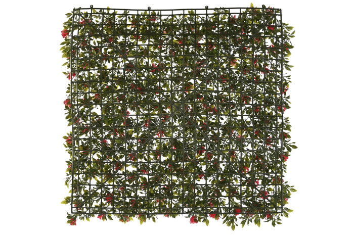 DKD Home Decor Jardín Vertical PE 50x50x5 UV Verde y Rojo