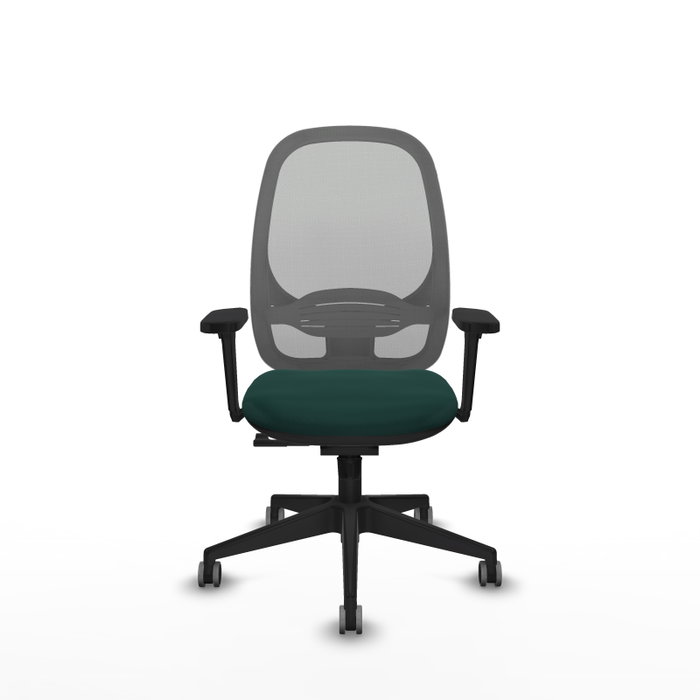 PIQUERAS Y CRESPO Silla de oficina Cilanco con mecanismo Sincro, Verde botella y Gris PIQUERAS Y CRESPO Silla de oficina Cilanco con mecanismo Sincro, Verde botella y Gris