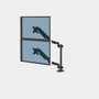 Fellowes Platinum Series 8043401 Brazo para Monitor Doble Vertical con 2 Puertos USB, Negro