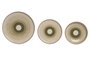 DKD Home Decor Set de Vajilla de Gres con Relieve Verde
