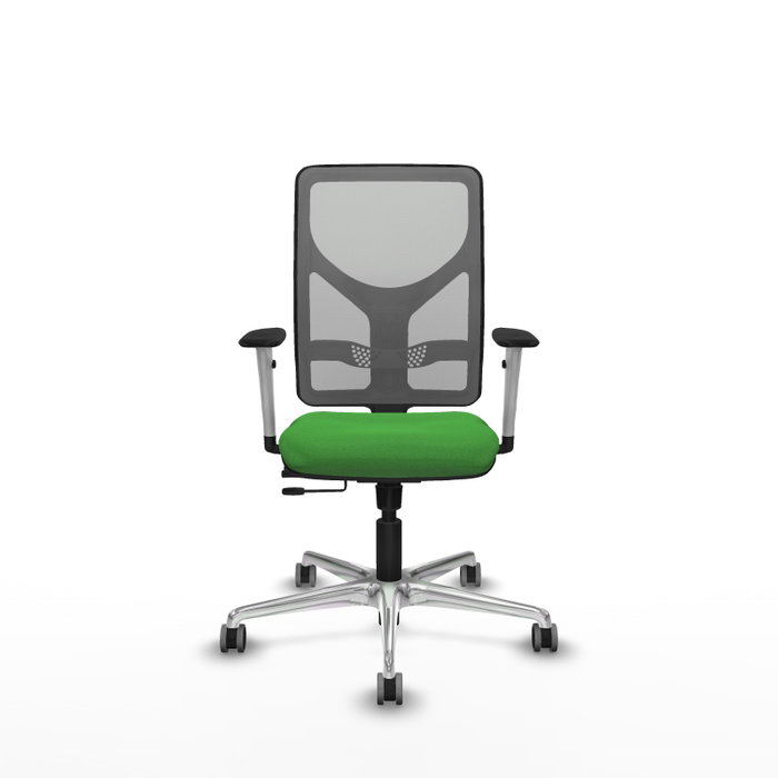PIQUERAS Y CRESPO Silla de oficina Motilla con mecanismo Sincro/Traslack, Verde y Gris