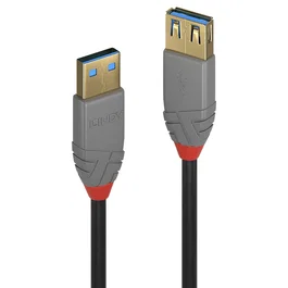 Lindy Cable de Extensión USB 3.2 Gen 1 Tipo A de 0,5 m, Negro