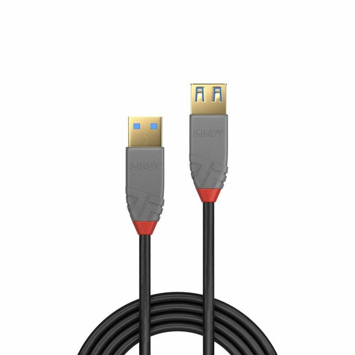 Lindy Cable USB 3.2 Gen 1 (3.1 Gen 1) USB A a USB A, 0,5 m, Negro