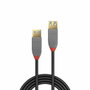 Lindy Cable USB 3.2 Gen 1 (3.1 Gen 1) USB A a USB A, 0,5 m, Negro