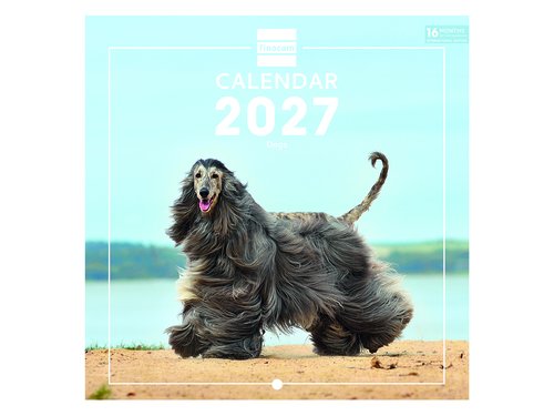 Finocam Calendario de Pared 2027 Imágenes de Perros 180x180 cm Finocam Calendario de Pared 2027 Imágenes de Perros 180x180 cm