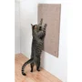 Trixie Poste Rascador XXL para Gatos - Tapete de Sisal y Hierba Gatera - 50 x 70 cm - Gris Pardo